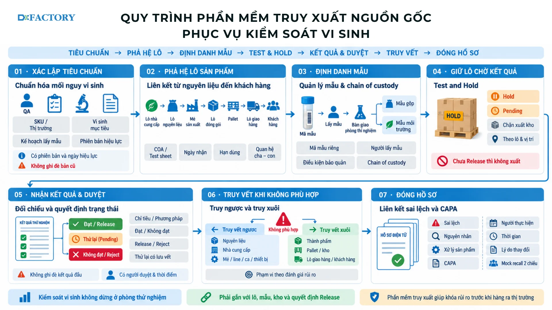 Infographic quy trình phần mềm truy xuất nguồn gốc phục vụ kiểm soát vi sinh từ xác lập tiêu chuẩn, phả hệ lô, định danh mẫu, Test and Hold đến truy vết và đóng hồ sơ.