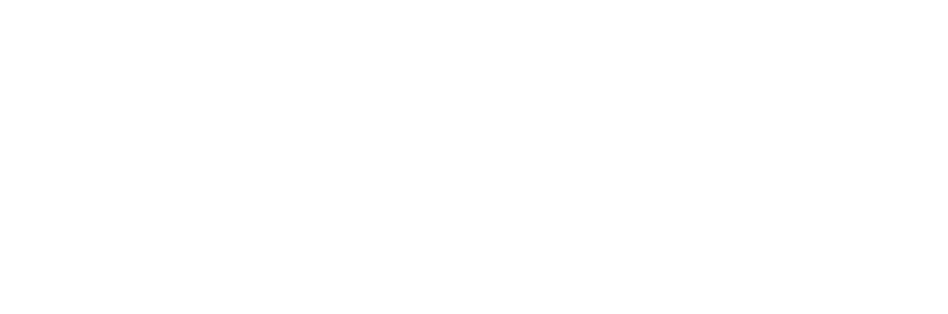 New Ocean Group logo white